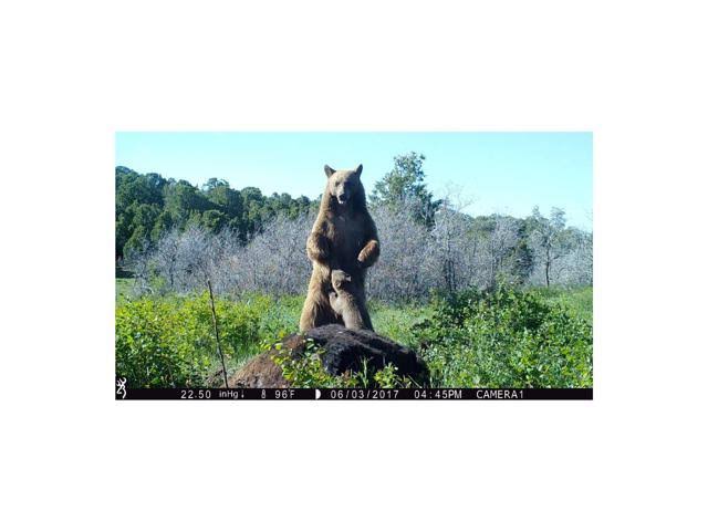16MP Trail Camera L797