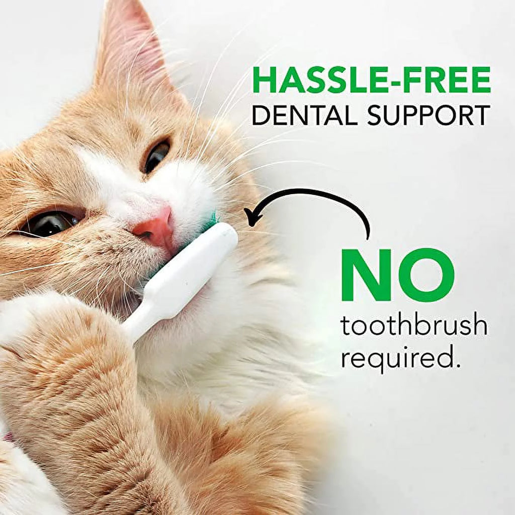 Dental Care Powder for Cats and Dogs 4.2 oz S90895
