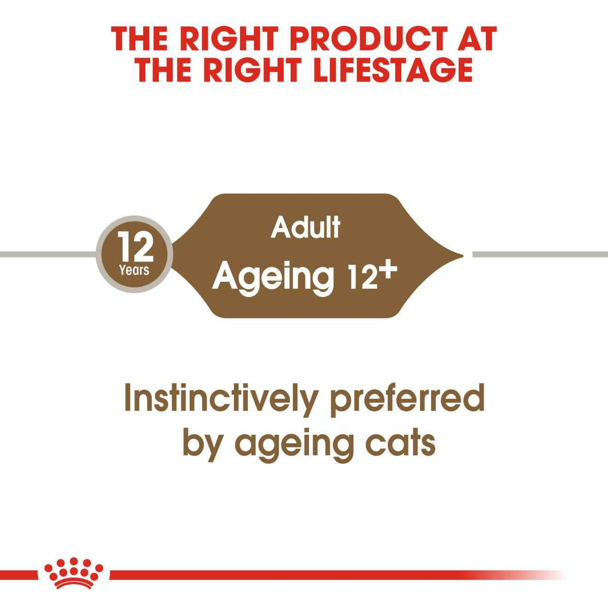 Aging 12+ Thin Slices in Gravy Canned Cat Food S973598
