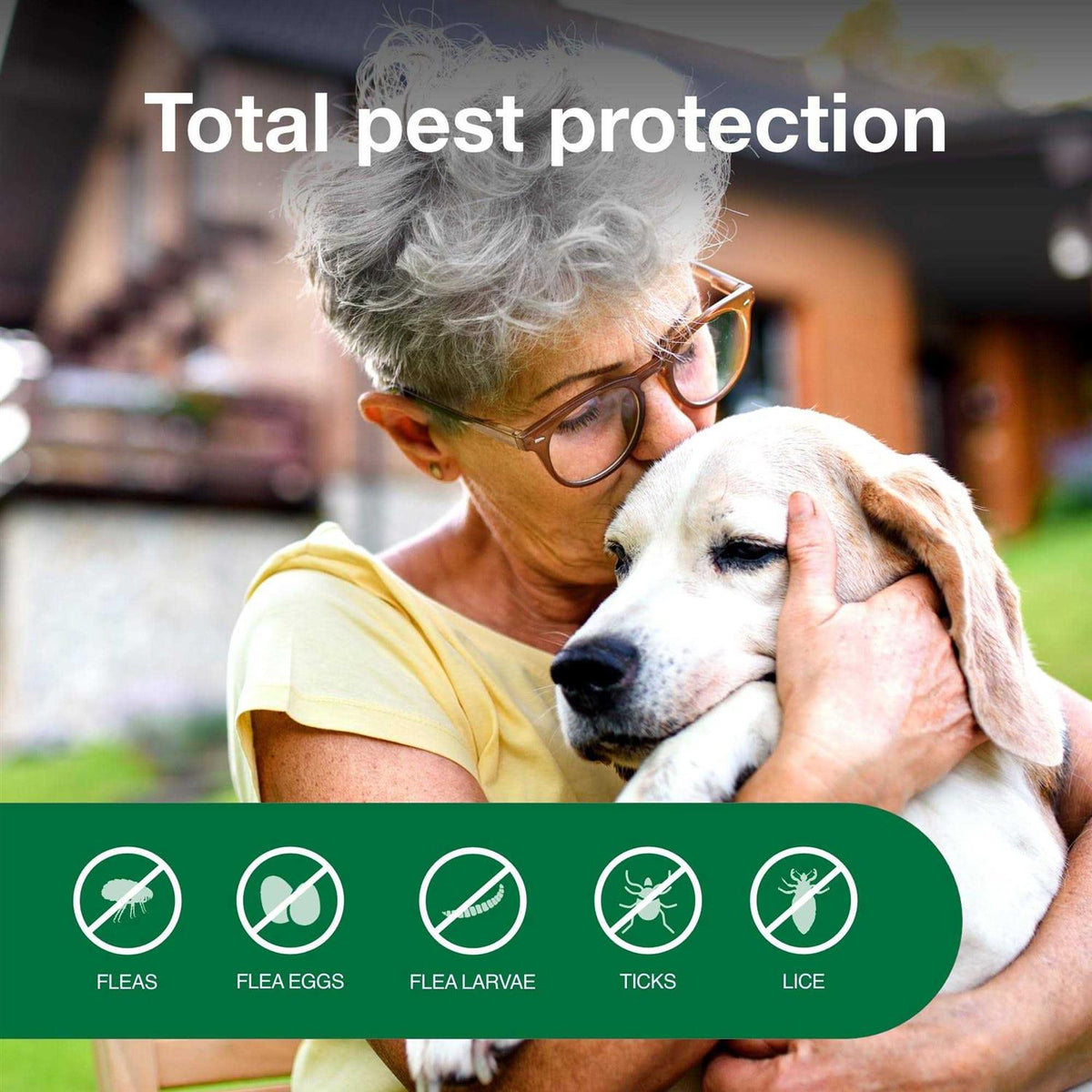 Flea & Tick Treatment Spray for Dogs B154