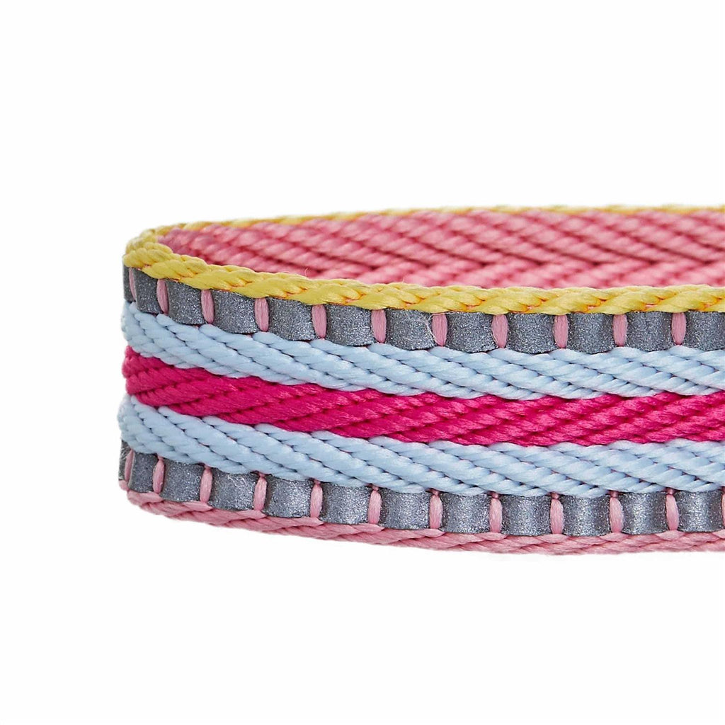 Reflective Dog Collar E61798