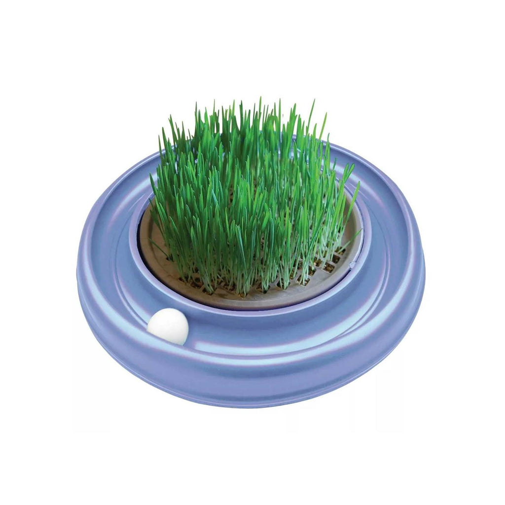 Cat Toy D291404