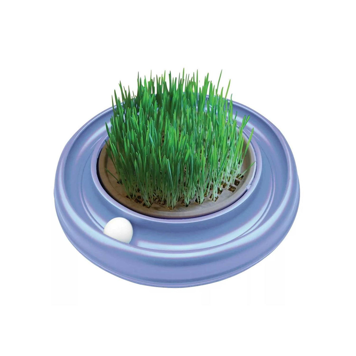 Cat Toy D291404