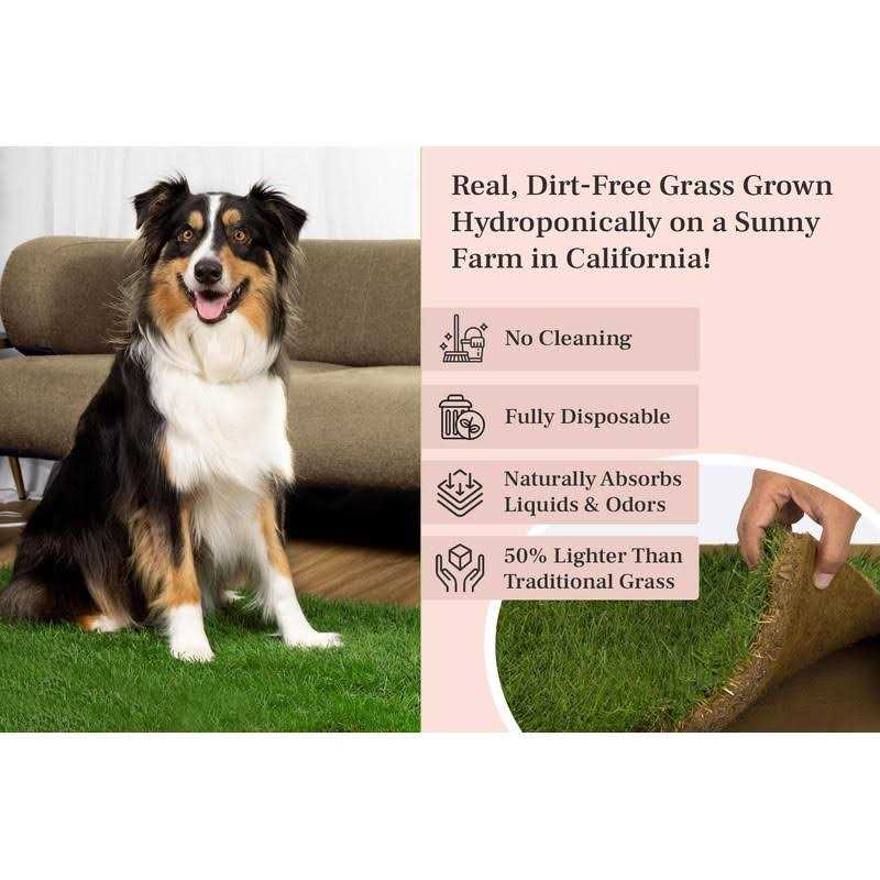 Real Grass Dog Potty J731