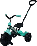 Tricycle J79529