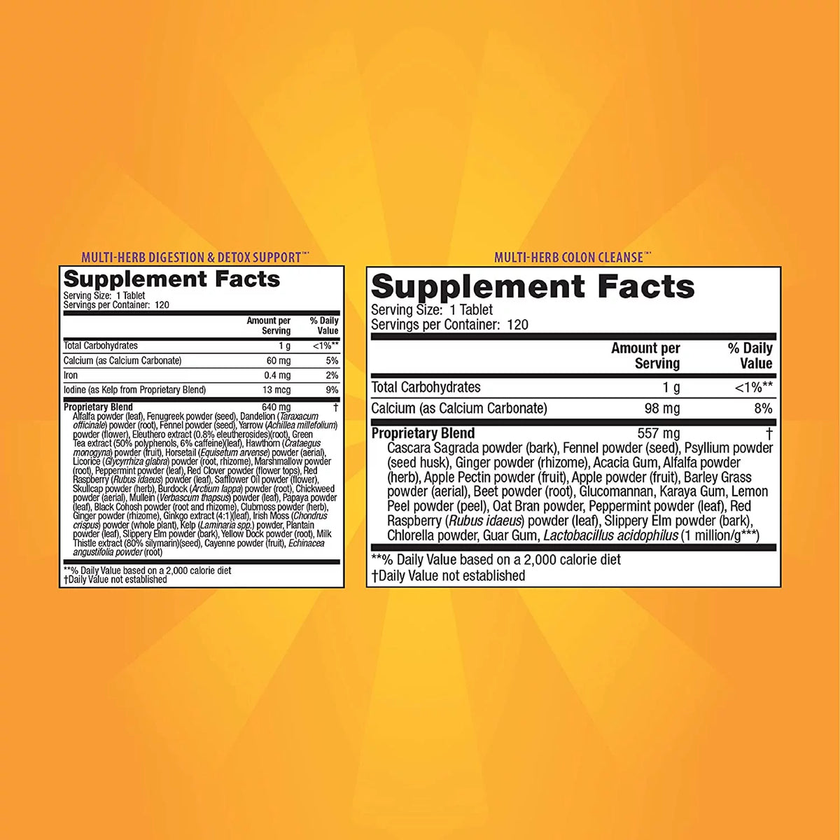 240 Tablets Total-Body Cleanse with Pill Case D634995