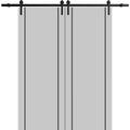 Double Barn Door 36 x 80 inches with Frosted Glass M5486