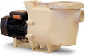 1.5 HP Swimming Pool Pump F818552
