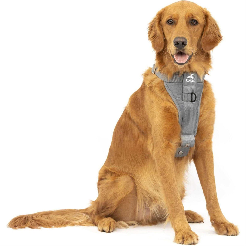 Dog Harness L47700