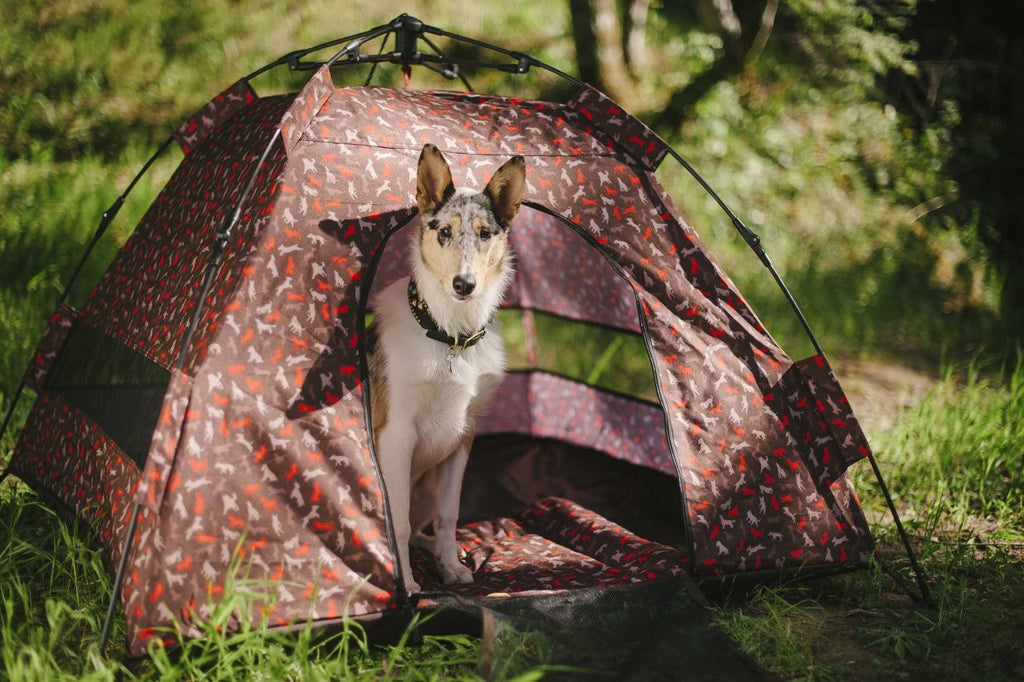 Outdoor Dog Tent - One Size K35727