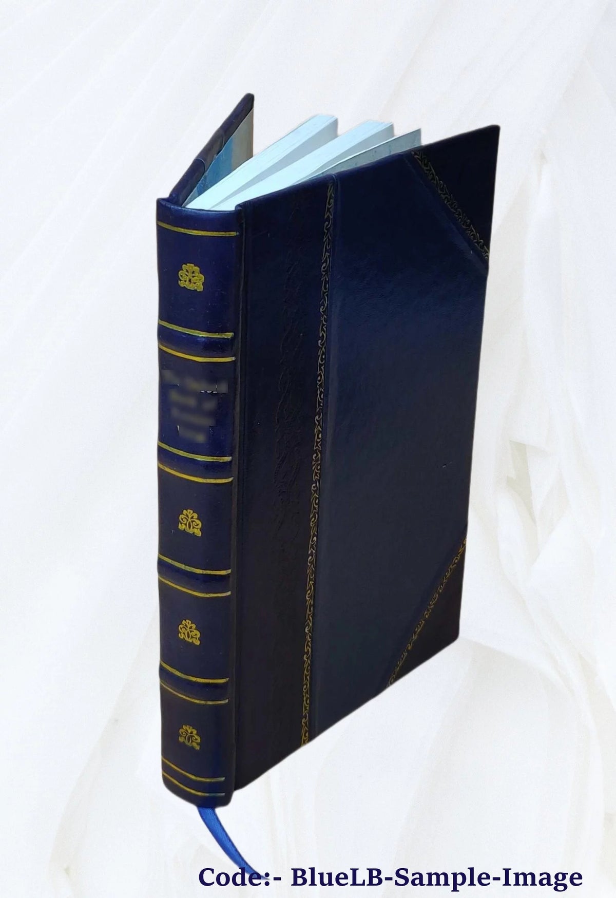 Leather Bound Book C93424