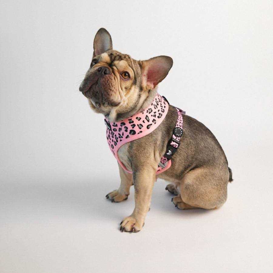 Reversible Neoprene Dog Harness T309286