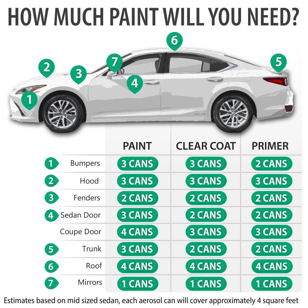 Automotive Touch Up Paint Spray Kit with Clearcoat Q521