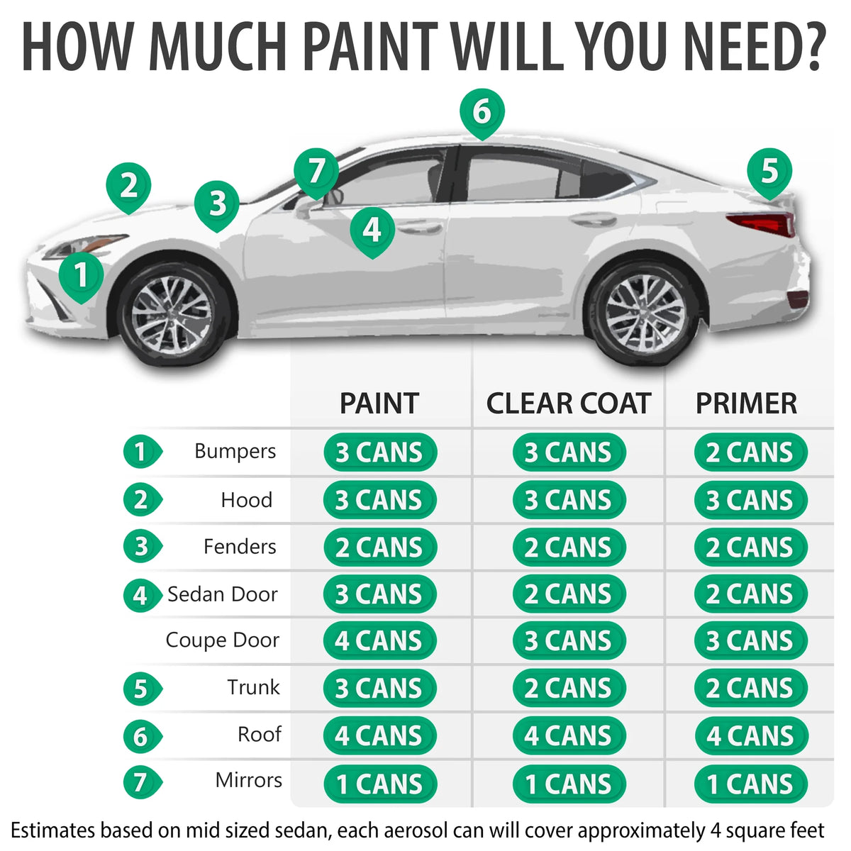 Automotive Touch Up Paint Spray Kit with Clearcoat Q521