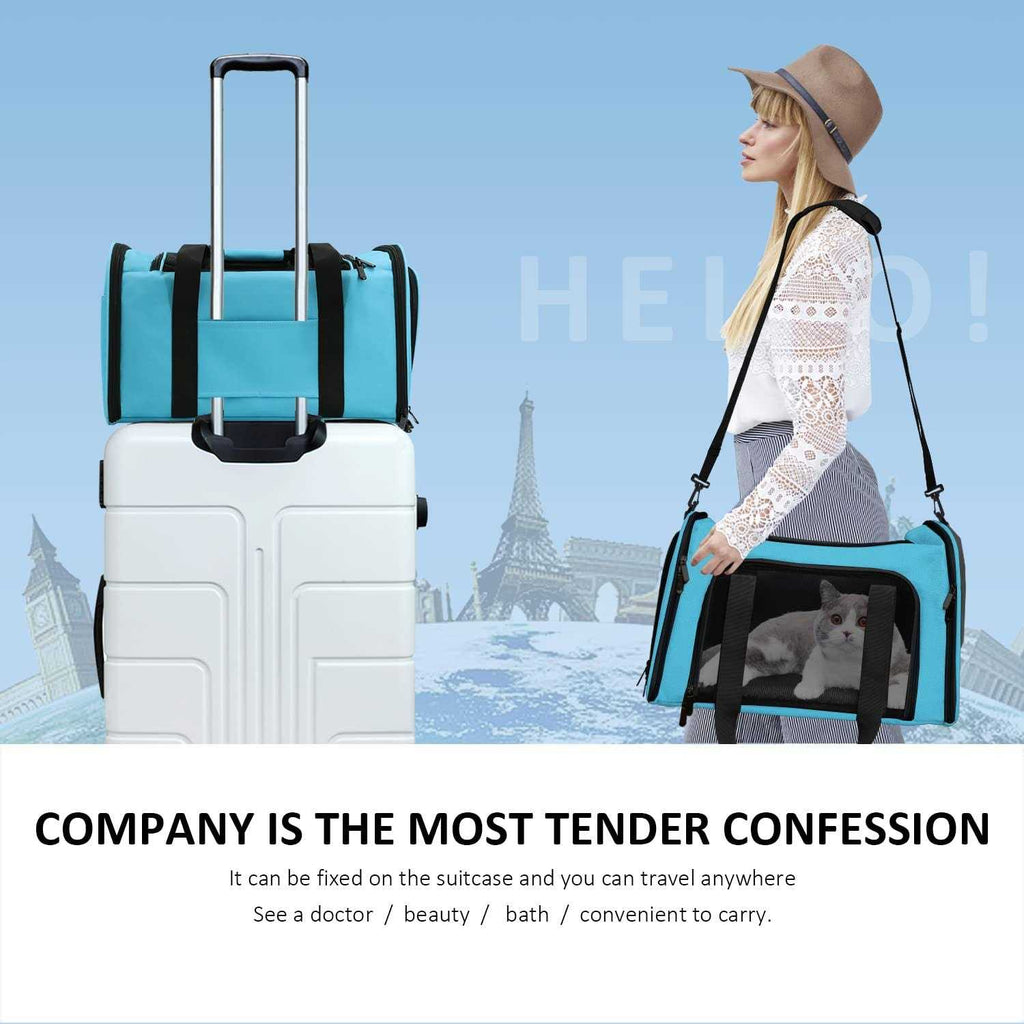 Cat Dog Pet Carrier for Small Medium Cats up to 15 Lbs J9354