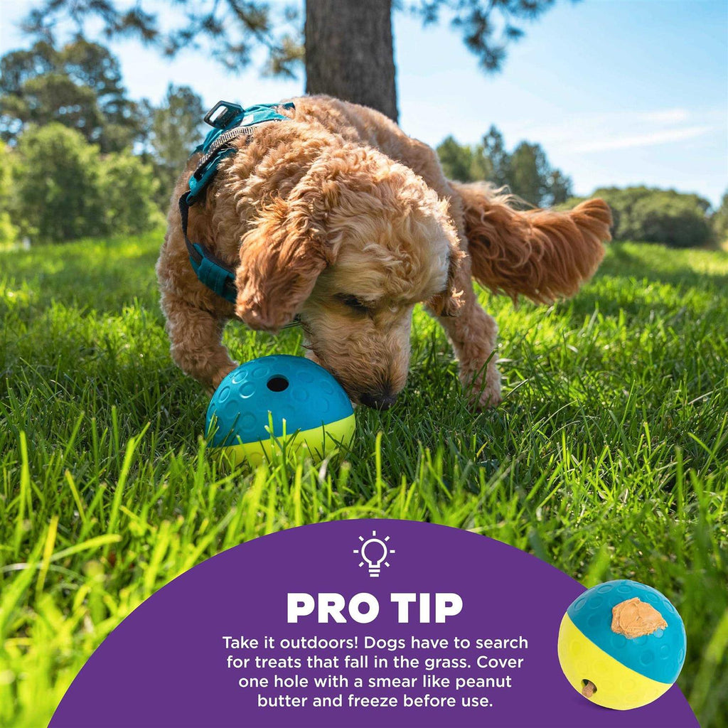 Treat Tumble Dog Toy G3478