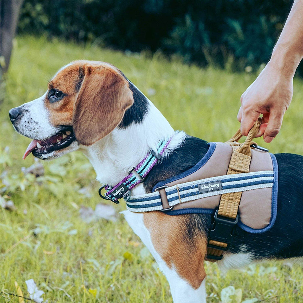 Reflective Dog Collar E61798