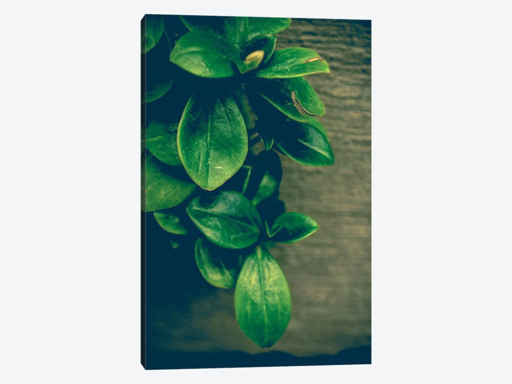 Canvas Prints A82079