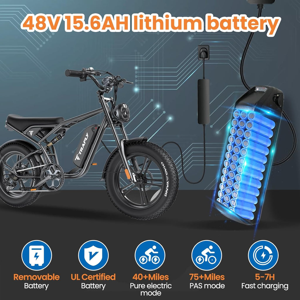 20" Fat Tire 48V 15.6AH Removable Battery Electric Bike O227041