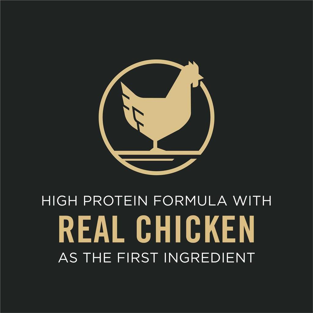 Chicken & Rice Dry Dog Food T891734