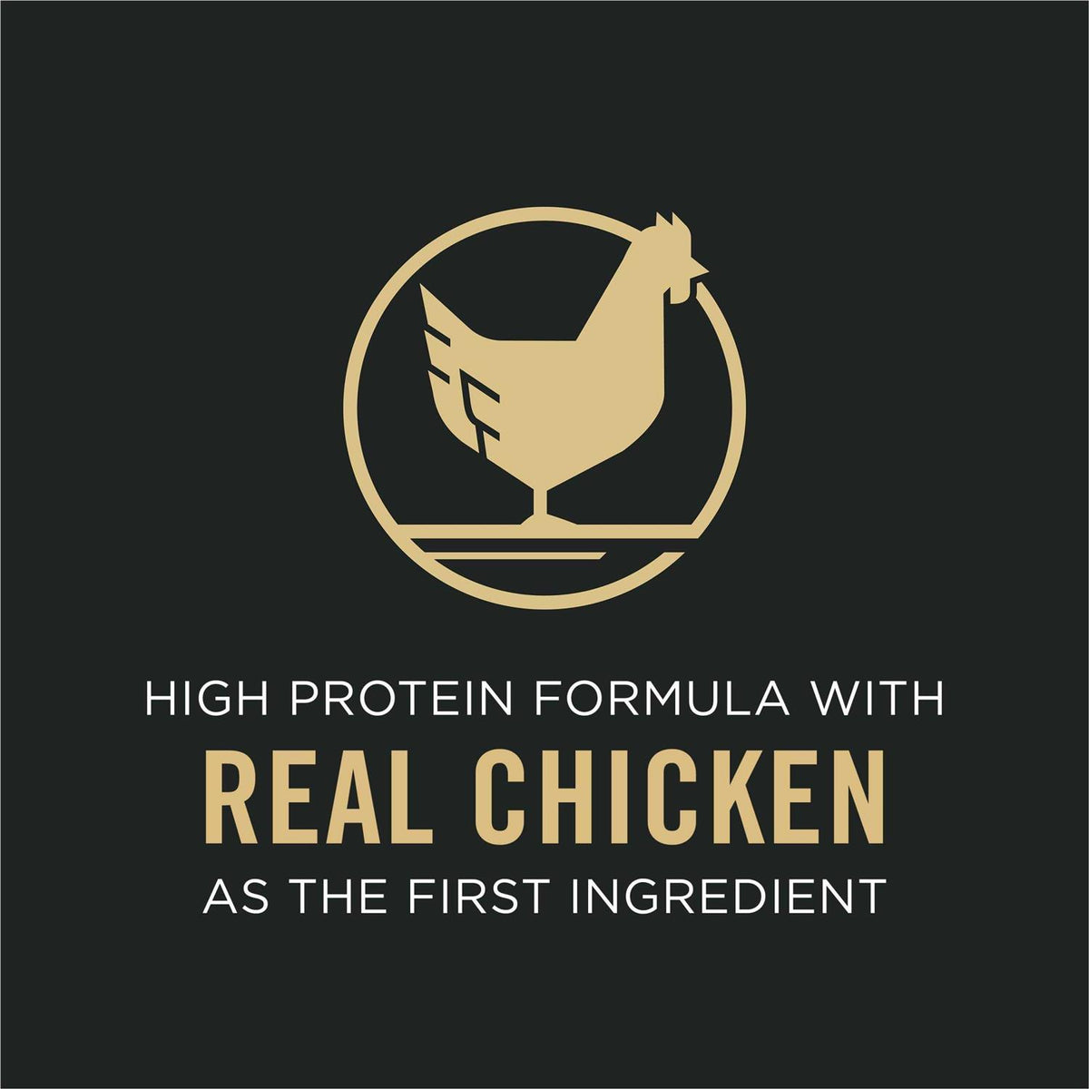 Chicken & Rice Dry Dog Food T891734