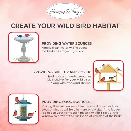 Peanuts Wild Bird Food 5 Pounds R78461