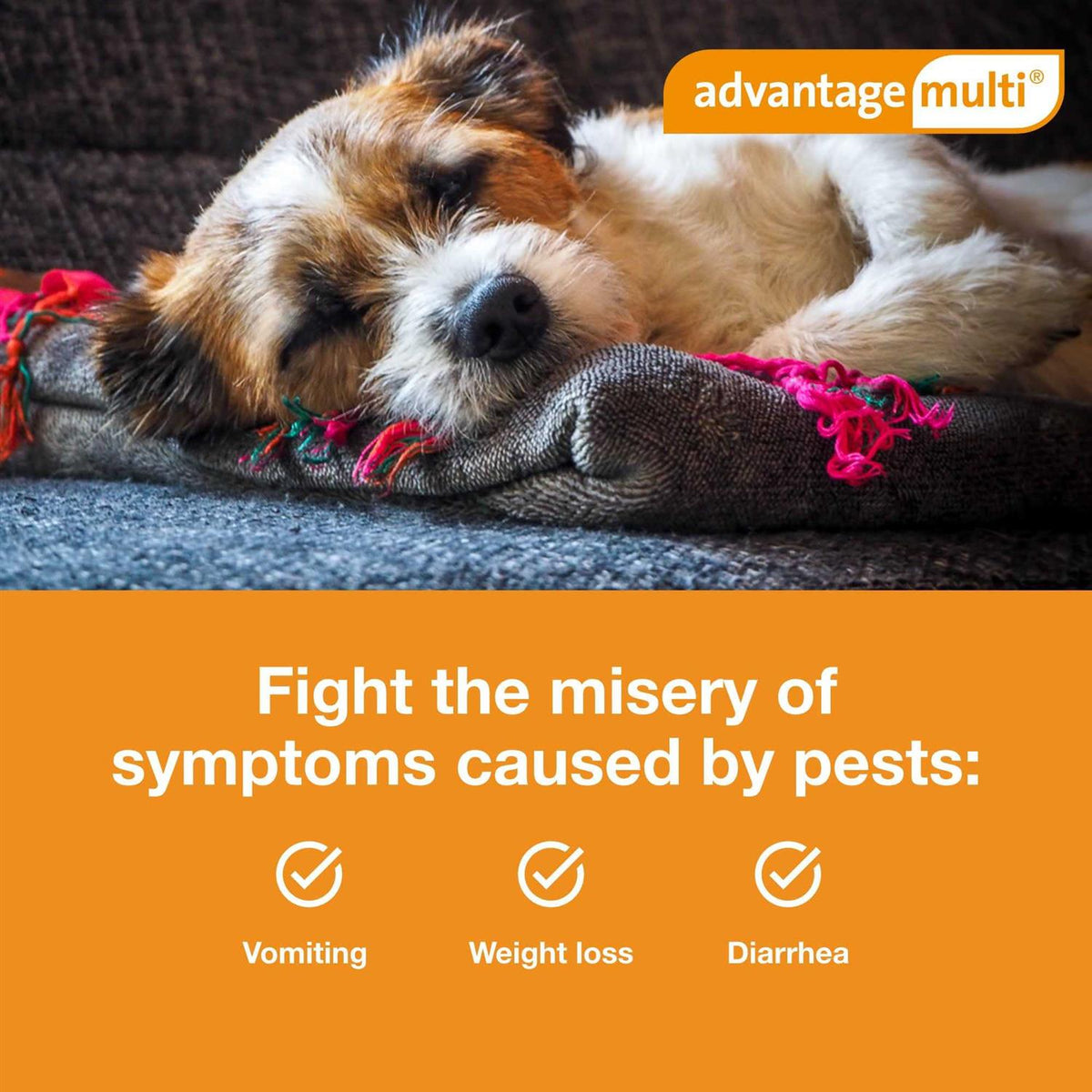 Advantage Multi for Dogs F613432