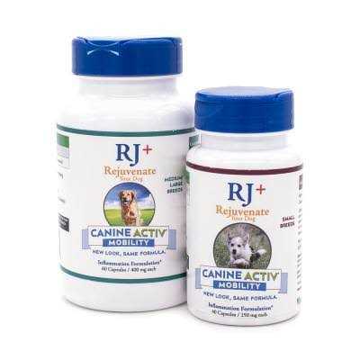 Canine Activ High Performance Pet Supplies G352