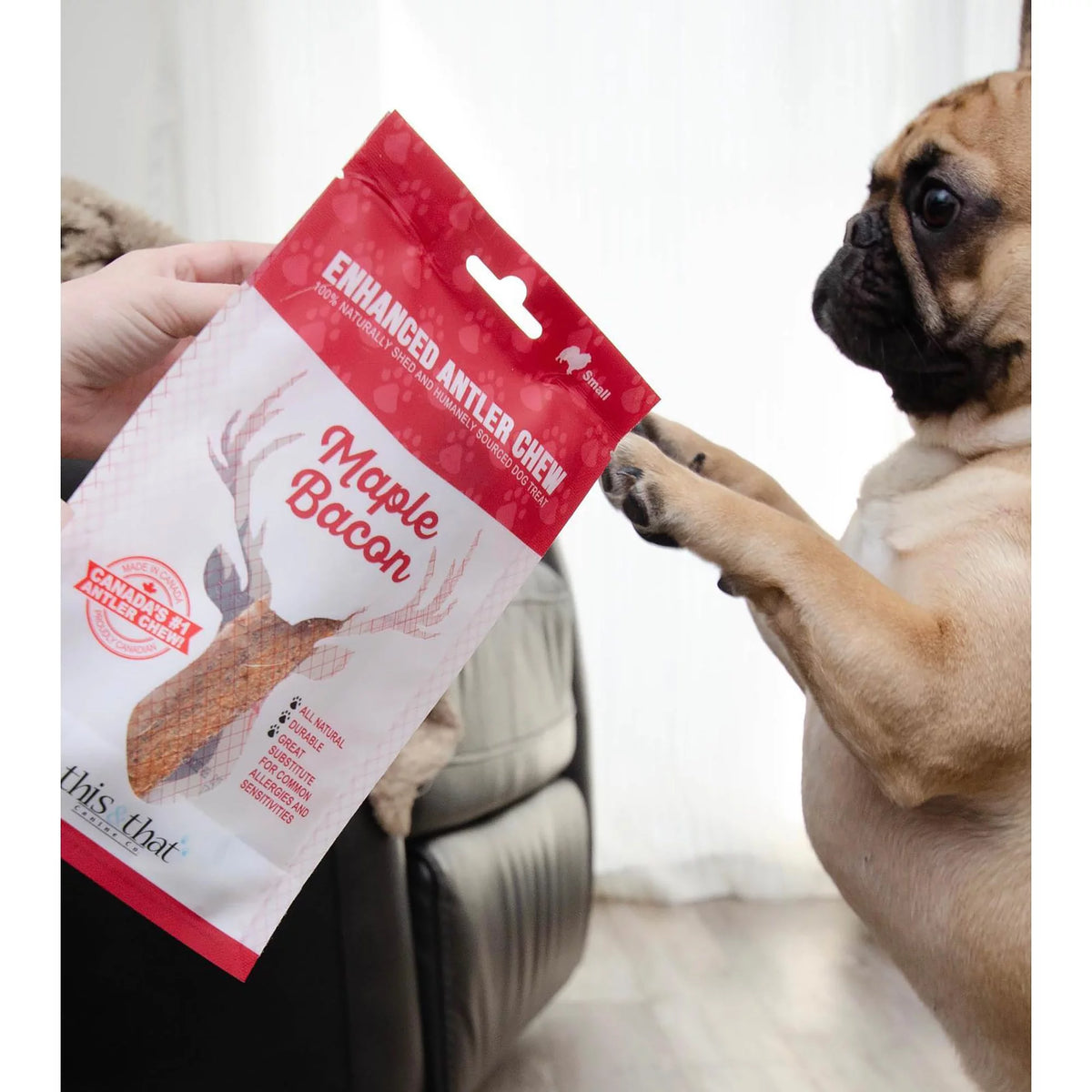 Large Grade A Split Elk Antler Dog Chew Q331585