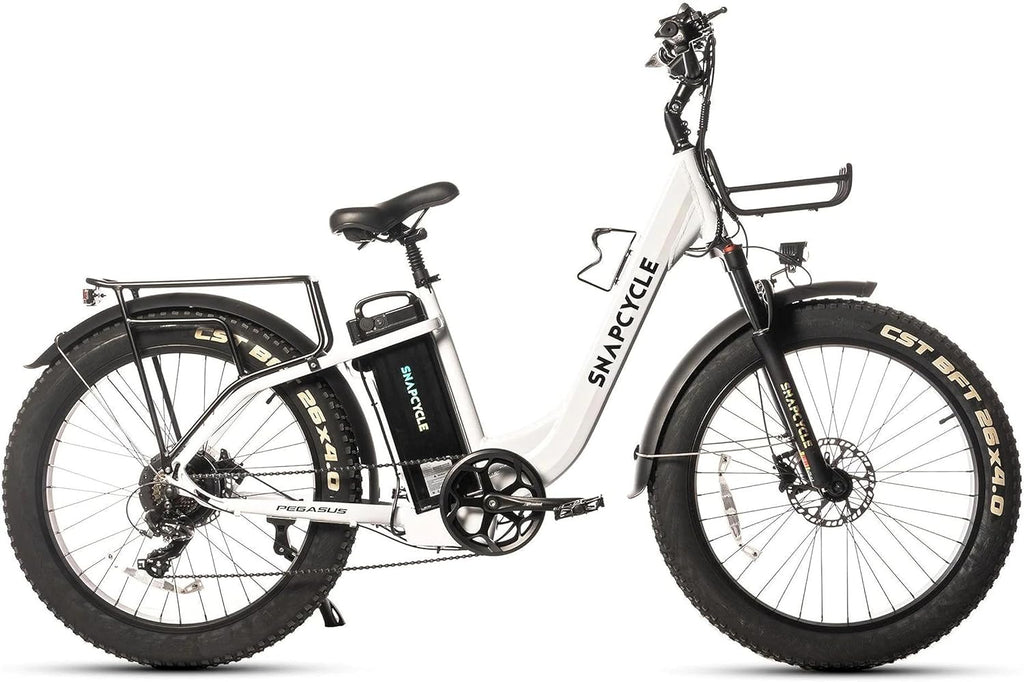 1000W Peak Motor 26" x 4.0 Fat Tire Step-Thru Ebike with 48V 15AH Removable Battery L74090