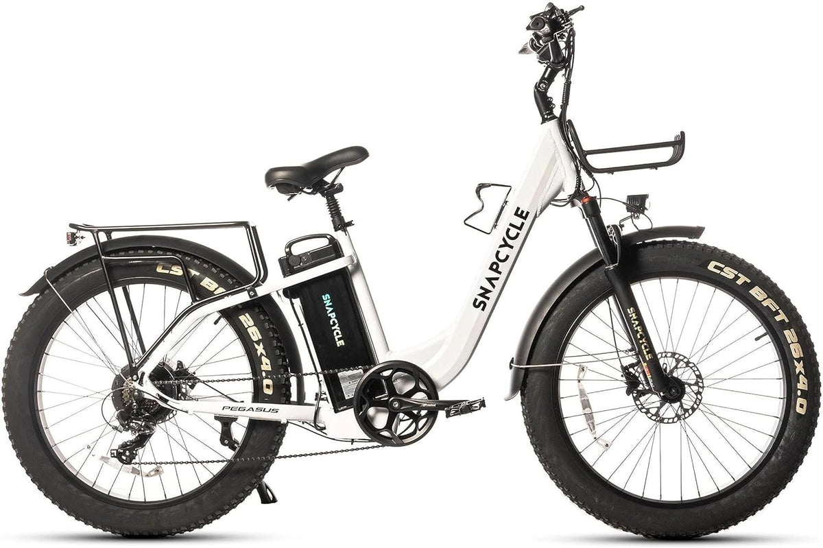 1000W Peak Motor 26" x 4.0 Fat Tire Step-Thru Ebike with 48V 15AH Removable Battery L74090