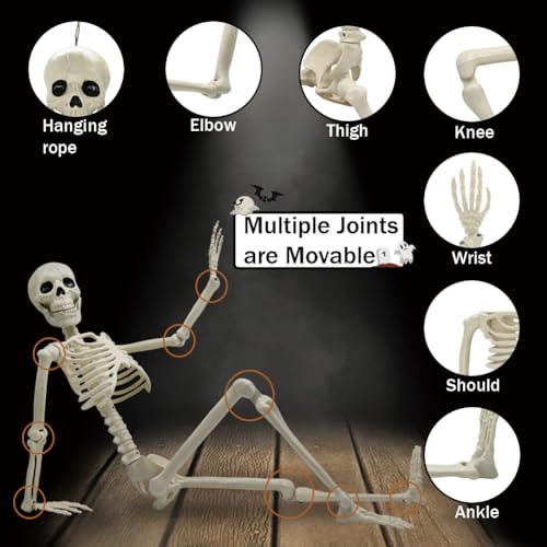 5.9FT Plastic Full Size Human Skeleton with Movable Joints I329