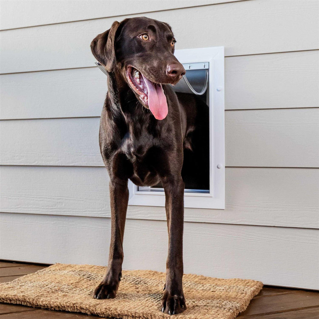 Wall Entry Pet Door Q338032