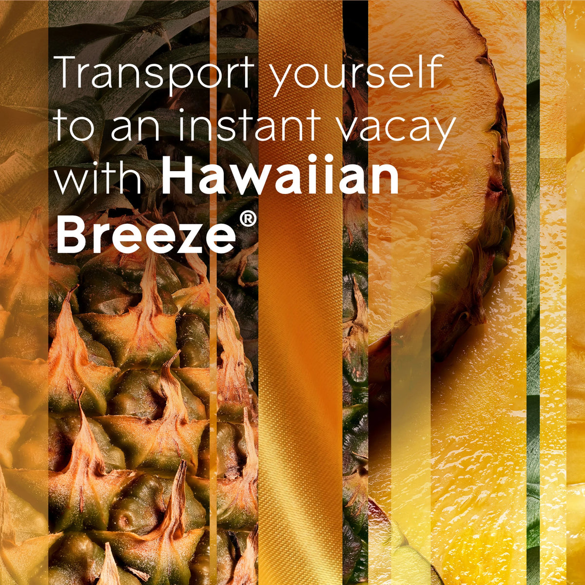 Hawaiian Breeze Air Freshener Starter Kit with Holder and Refill Z97452