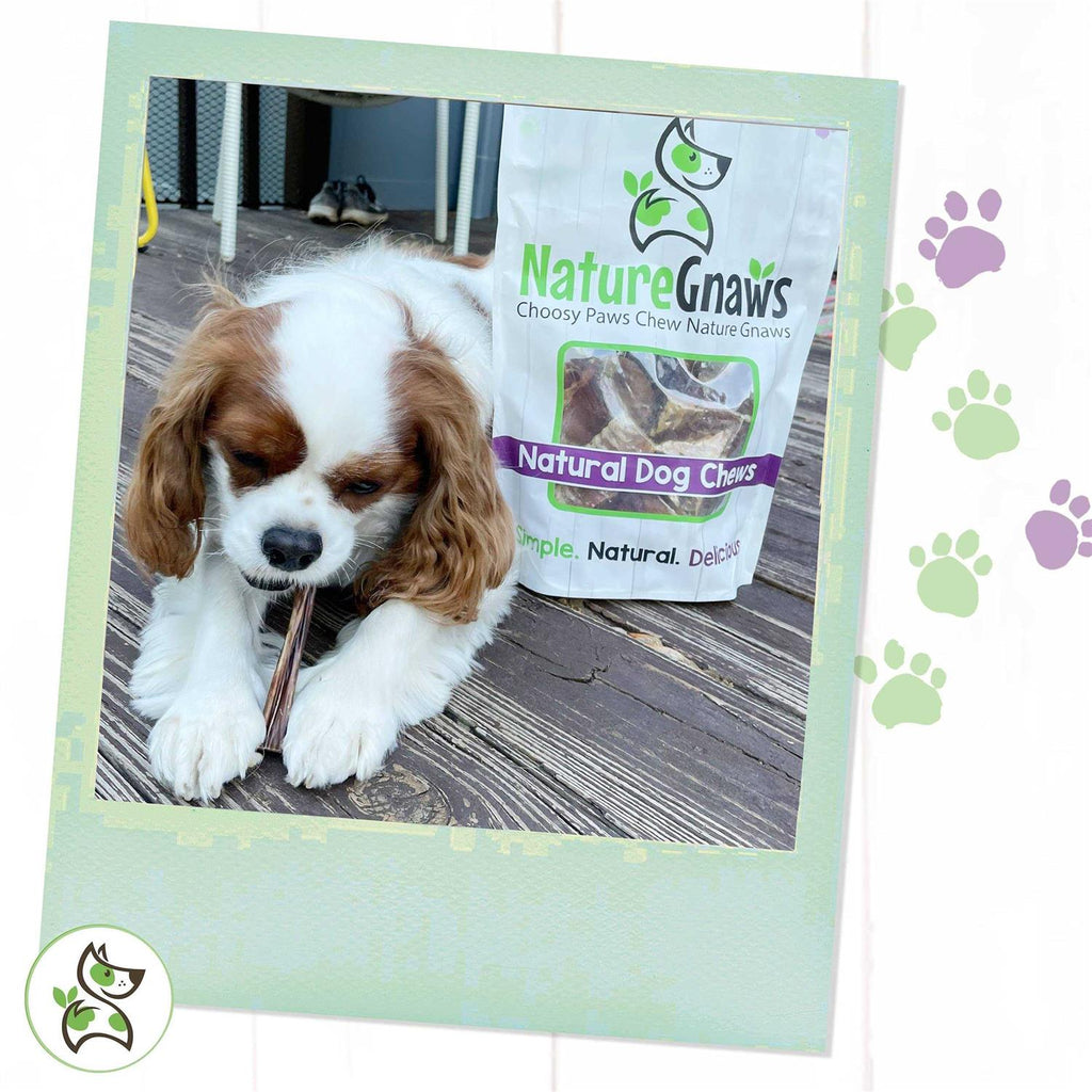 Natural Beef Bully Sticks for Dogs P840091