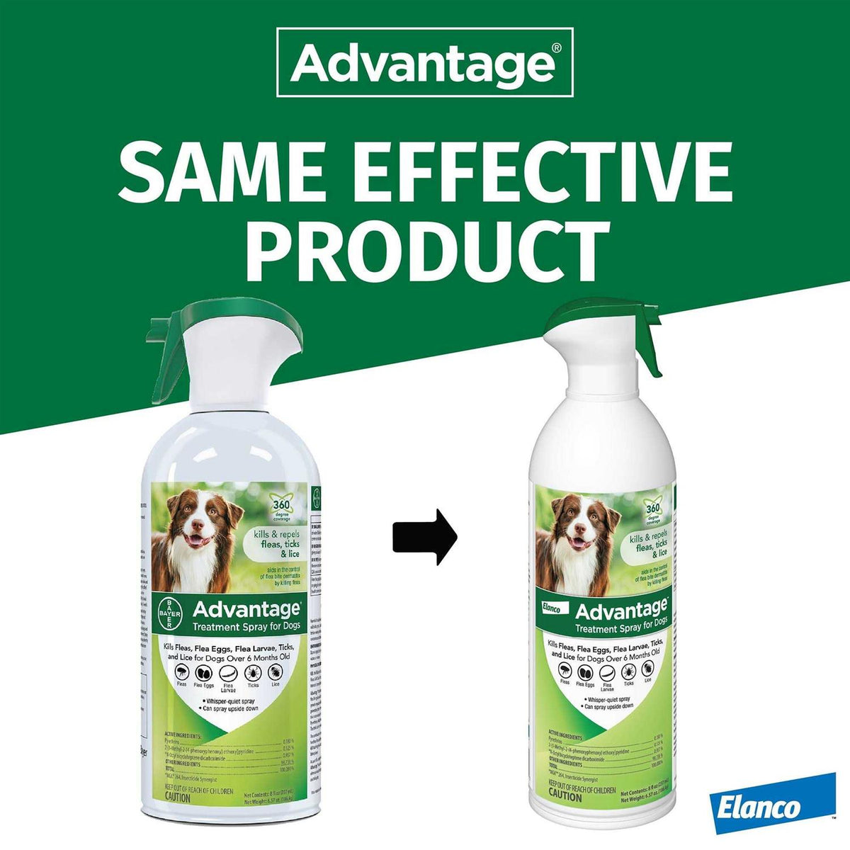 Flea & Tick Treatment Spray for Dogs B154