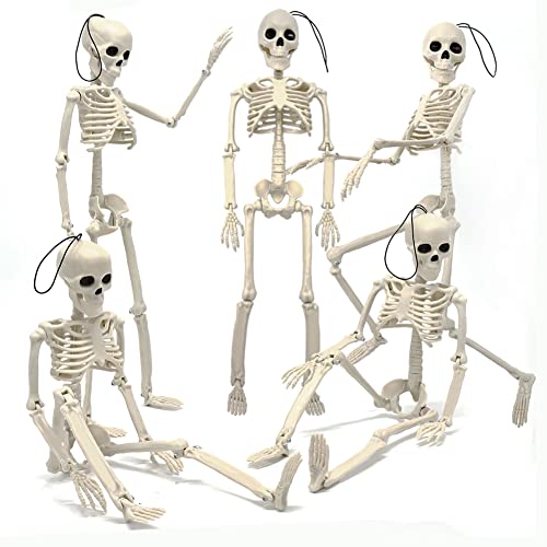 5.9FT Plastic Full Size Human Skeleton with Movable Joints I329