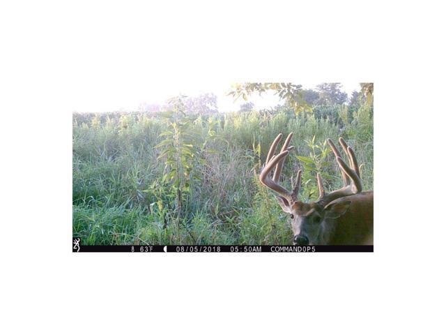 16MP Trail Camera L797