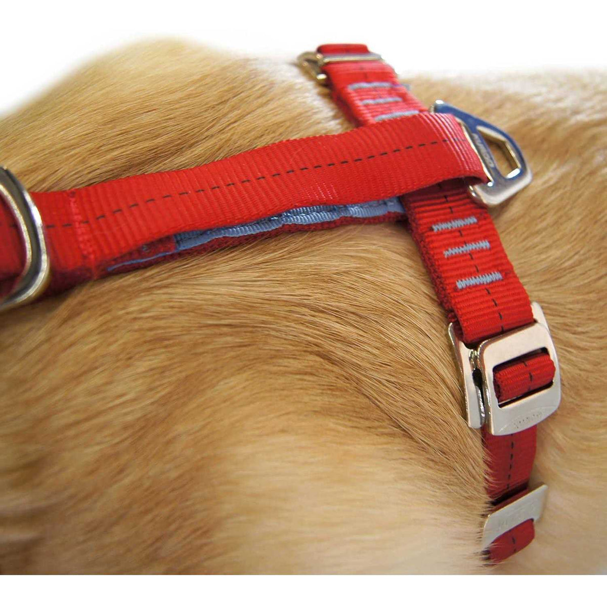 Dog Harness L47700