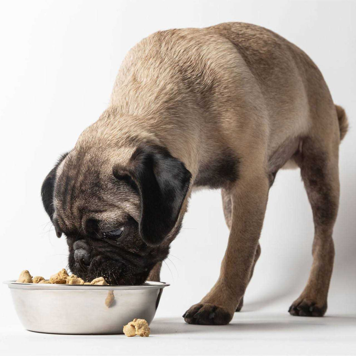 Freeze Dried Raw Dog Food B903