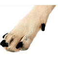 Soft Nail Caps for Dogs B682