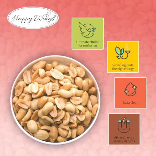 Peanuts Wild Bird Food 5 Pounds R78461