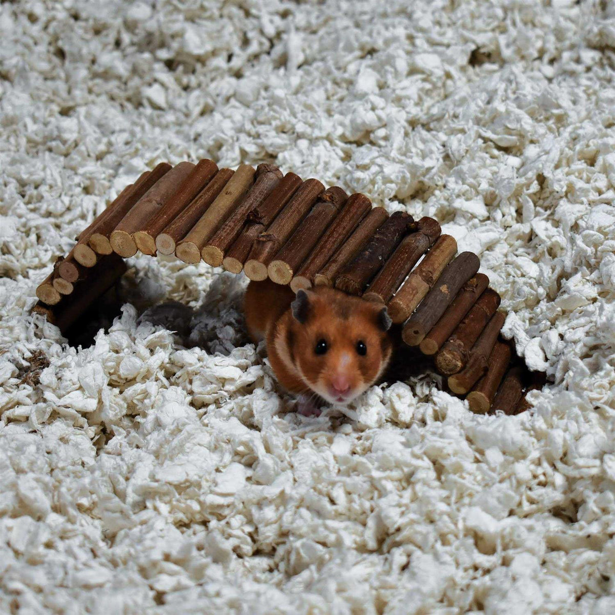 White Small Pet Bedding P1327