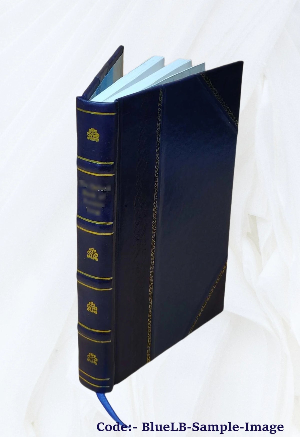 Leather Bound Book Y32266