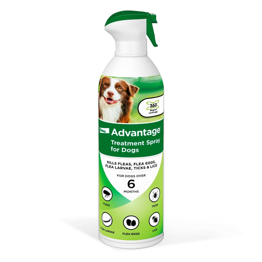 Flea & Tick Treatment Spray for Dogs B154