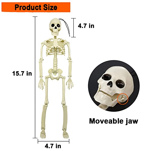 5.9FT Plastic Full Size Human Skeleton with Movable Joints I329