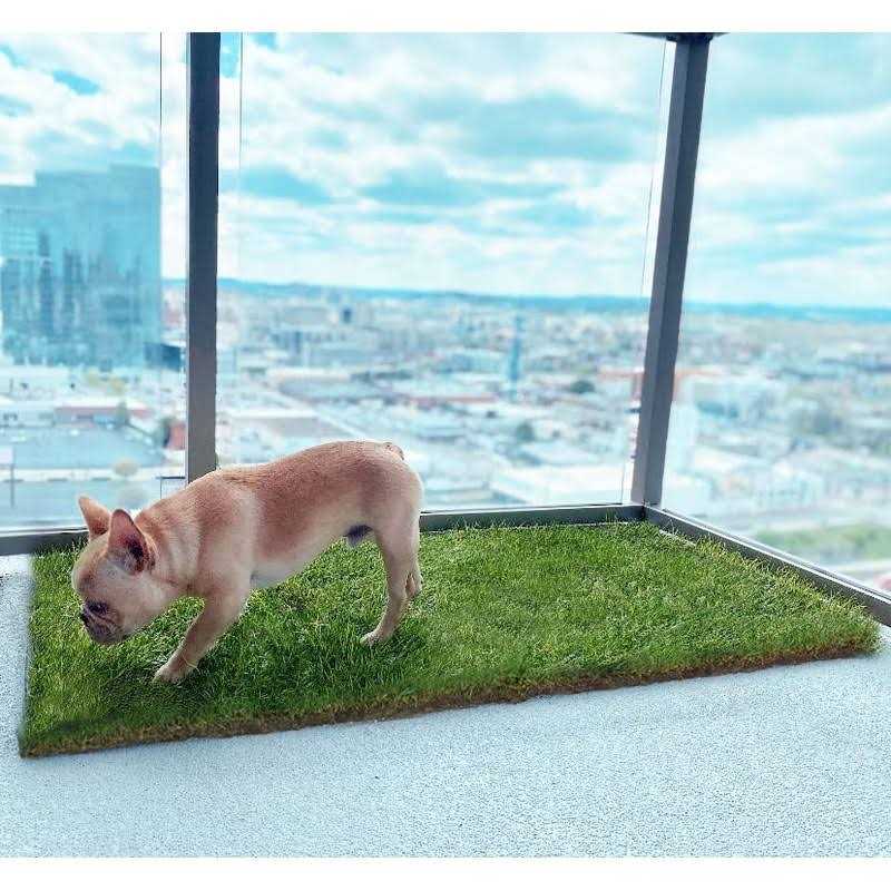 Real Grass Dog Potty J731