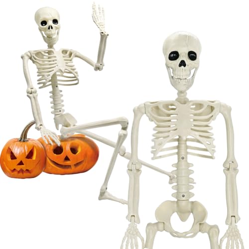 5.9FT Plastic Full Size Human Skeleton with Movable Joints I329