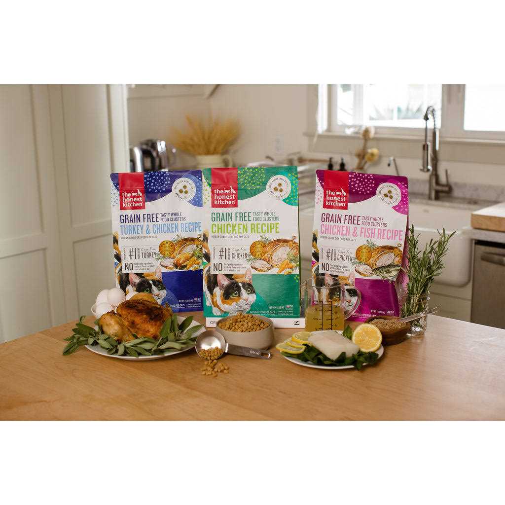 Grain-Free Chicken Dry Cat Food O9831