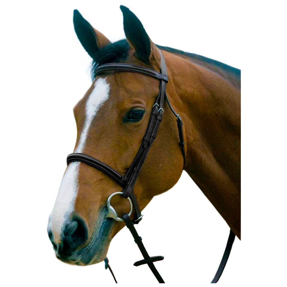 Black Raised Cavesson Snaffle Bridle Y1006